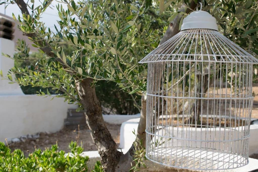 לרפטרה Lazaros & Pagona Houses 2 מראה חיצוני תמונה